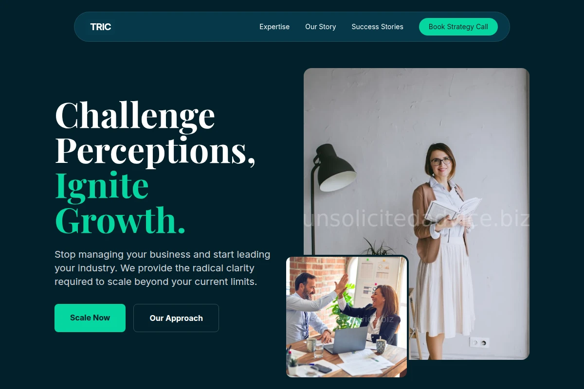 Insight Business Coach