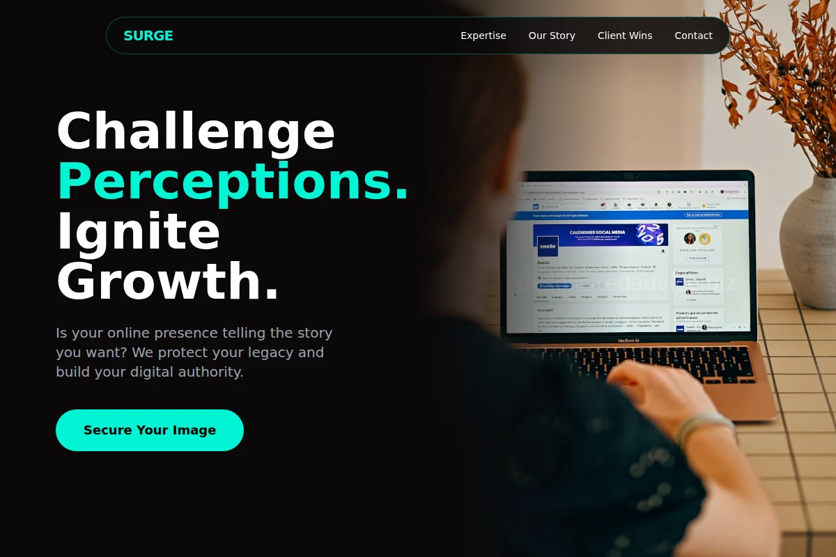 Surge Reputation Management
